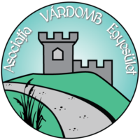 Asociația Dâmbul Cetății